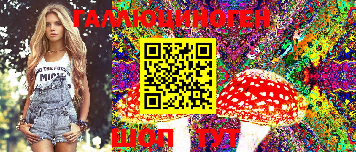 Псилоцибиновые грибы Psilocybine cubensis Абинск